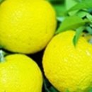 만재농장 이미지