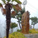 율포솔밭해변1 이미지