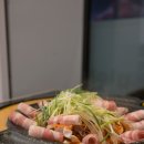 신의한근 | 구래동 맛집 국제쭈꾸미1981 김포 쭈꾸미맛집 후기