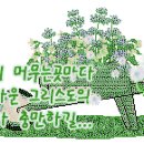 창골산 칼럼 제1153호 /다윗의 묘(무덤)가 우리 중에 있다는 의미는? 이미지