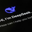 독일, '불법' 데이터 전송을 이유로 중국 AI 기업 DeepSeek 앱스토어에서 차단해 달라고 애플과 구글에 요청 이미지