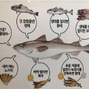 동태찌개 유명한집(본점) | 수원 장안구 연무동 맛집丨‘동태찌개유명한집 연무본점’ 찬바람 부는 날 딱!