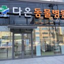 광주다온동물병원 네이버블로그