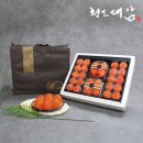 에스알씨 이미지