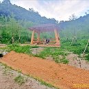 월평약수터 이미지