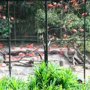 새들의천국 이미지