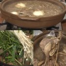 로드 207 이미지