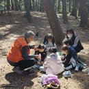 창의의 숲 이미지