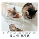 고양이 음수량 늘리기 쉐지애 주식캔사료 참치&amp;도미&amp;쌀밥 기호성좋은 습식사료추천