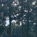 금복식당 이미지