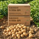 수미농장 | 대한민국농수산 햇 수미감자 3kg 5kg 가격 구성, 옵션 선택 참고