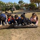 수니유치원 이미지