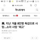 미국인도 입국금지 해야지 이미지