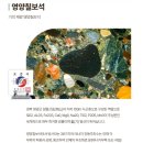 F6650 이미지