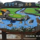 어래산성 Daum카페