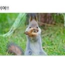 모테로스
