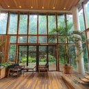 타로상담 이미지