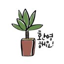 대동황토방(아) 이미지