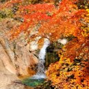서산갯마을산악회, 제139차 정기산행(설악산)...흘림골~주전골 이미지