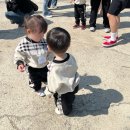 성희농장 이미지