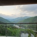 하이원콘도미니엄 | 하이원 힐콘도 F동 갤러리 스위트 객실 솔직 이용후기 🏔️🛌🍽️