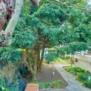 [도로]수원초등학교 앞 이미지