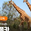 월드렌트카 이미지