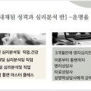 심리 명리학 이미지