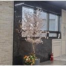 믿음세탁소 이미지