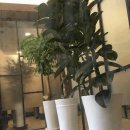 종로한의원 이미지