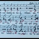 [그레고리오 성가 감상] 연중 제27주일 입당송(In voluntate tua 당신의 뜻 안에) 이미지