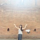 조이노스 | 장소 추천 (3일차) /브루잉커피, 타패게이트, 레인 북카페, 더굿키친, 조이인옐로, 노스게이트 재즈 펍