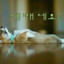 재미로