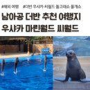 돌고래카 | 남아공 더반 우샤카 마린월드 씨월드 금액, 돌고래쇼, 물개쇼 후기, 남아프리카공화국 자유 여행