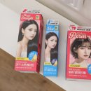 이지앤조이 이미지