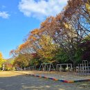 백봉초등학교 이미지