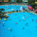 신흥수영장 내 이미지