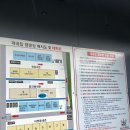 &lt;양주&gt; 개별 울타리로 편하게 캠핑을 즐길 수 있는 애견 전용 캠핑장 &#39;개네집캠핑장&#39;