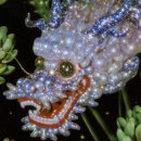 오라고PC방 | 2025년 10월의 일상. 부동산 월세 집 구하면서 느낀 점