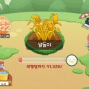 쌀돌이 이미지