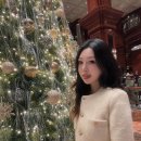(주)하이티넘 | 강남 임피리얼팰리스호텔 크리스마스트리와 카페델마르☕️🎄