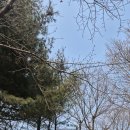 연세화랑의원 이미지