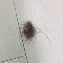 Hair the kyun(헤어더균) | 두피열 내리는 유일한 방법