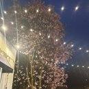 양평벚꽃하우스 이미지