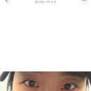 내돈내산 기분전환 알파플러스 후기, n박스 먹고있는 붓기관리템 찐후기