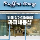 예쁜강아지 | 위례 사료 종류 많은 강아지 용품점 라피네몽샵
