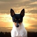 토이농장 이미지