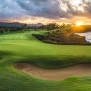 알지골프 이미지