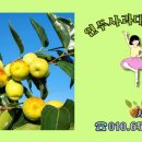 김광석 농장 이미지