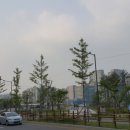 주정차26 헤럴드경제